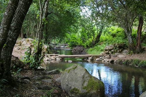 Abrantes ribeira de alcolobre tramagal10